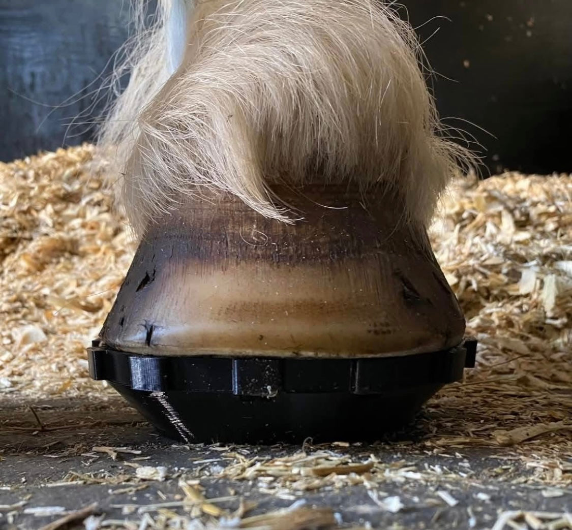 Click in Clog ( comes with 2 casting tape & 12 screws)