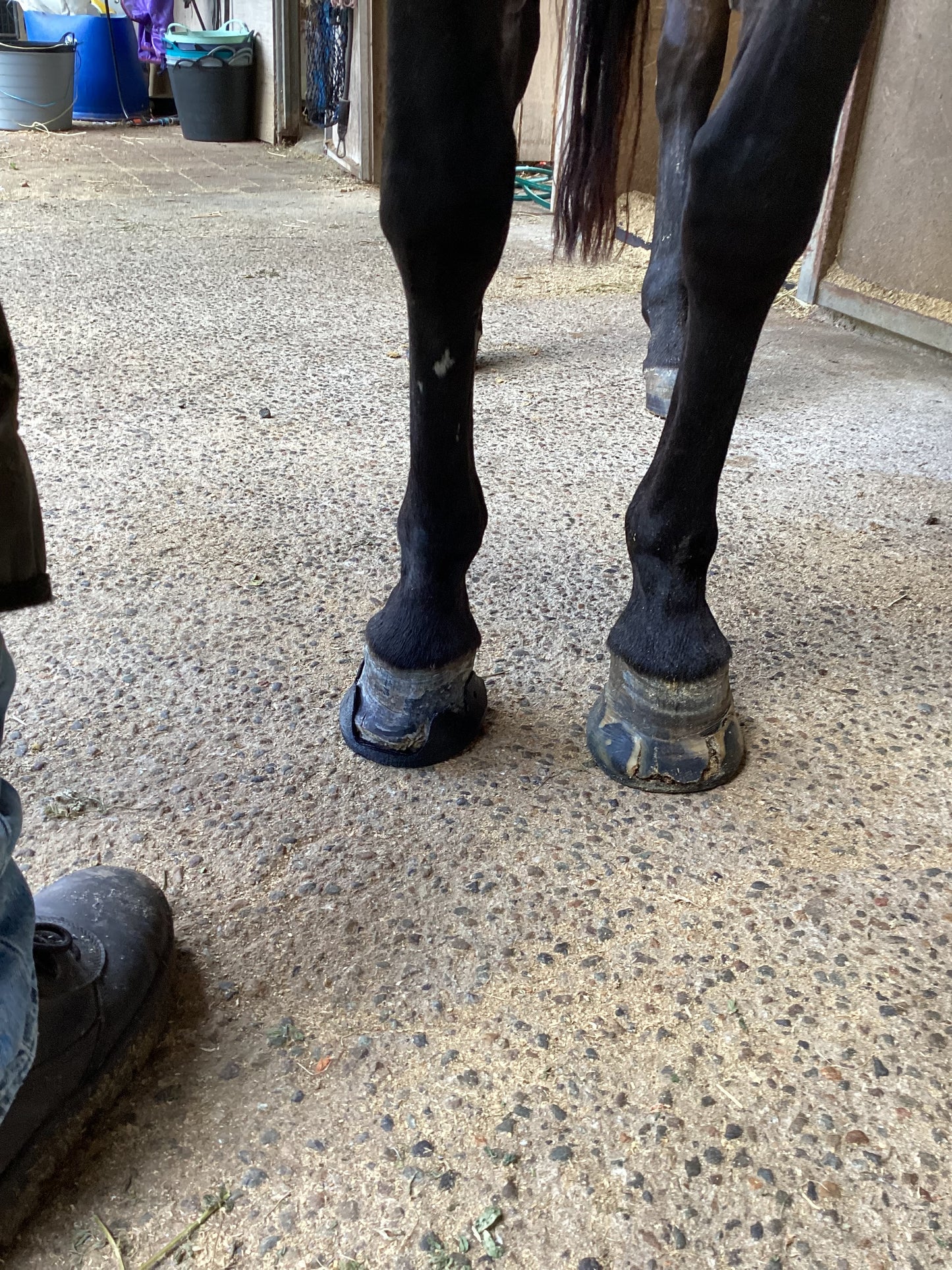 3 Deg Rocker Front♻️ (pair)