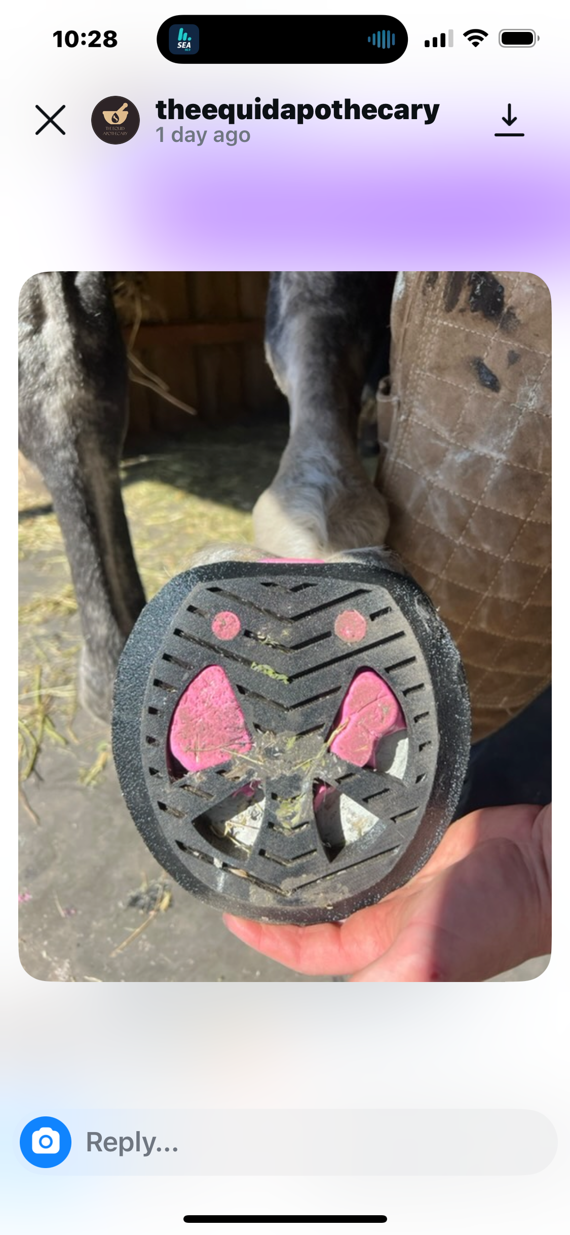 MoreAid Spider shoe (pair)♻️
