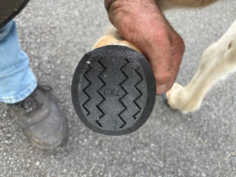Squish Pads♻️ (pair)