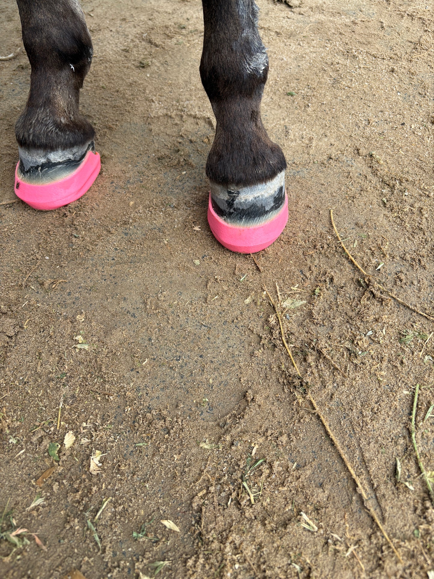 Pink Donkey Squish Pads ♻️