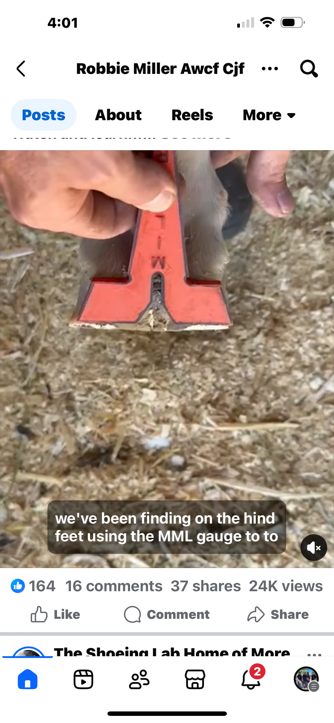 Robbie Miller MML Gauge