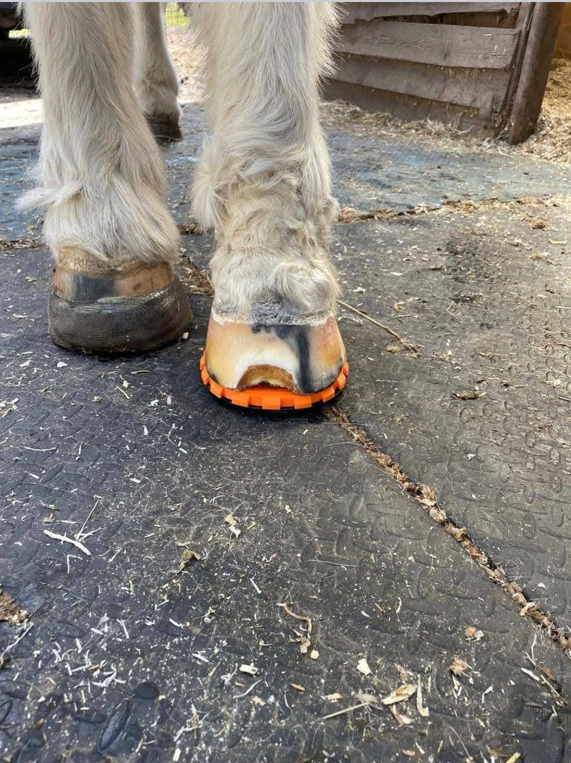 Click in Clog ( comes with 2 casting tape & 12 screws)