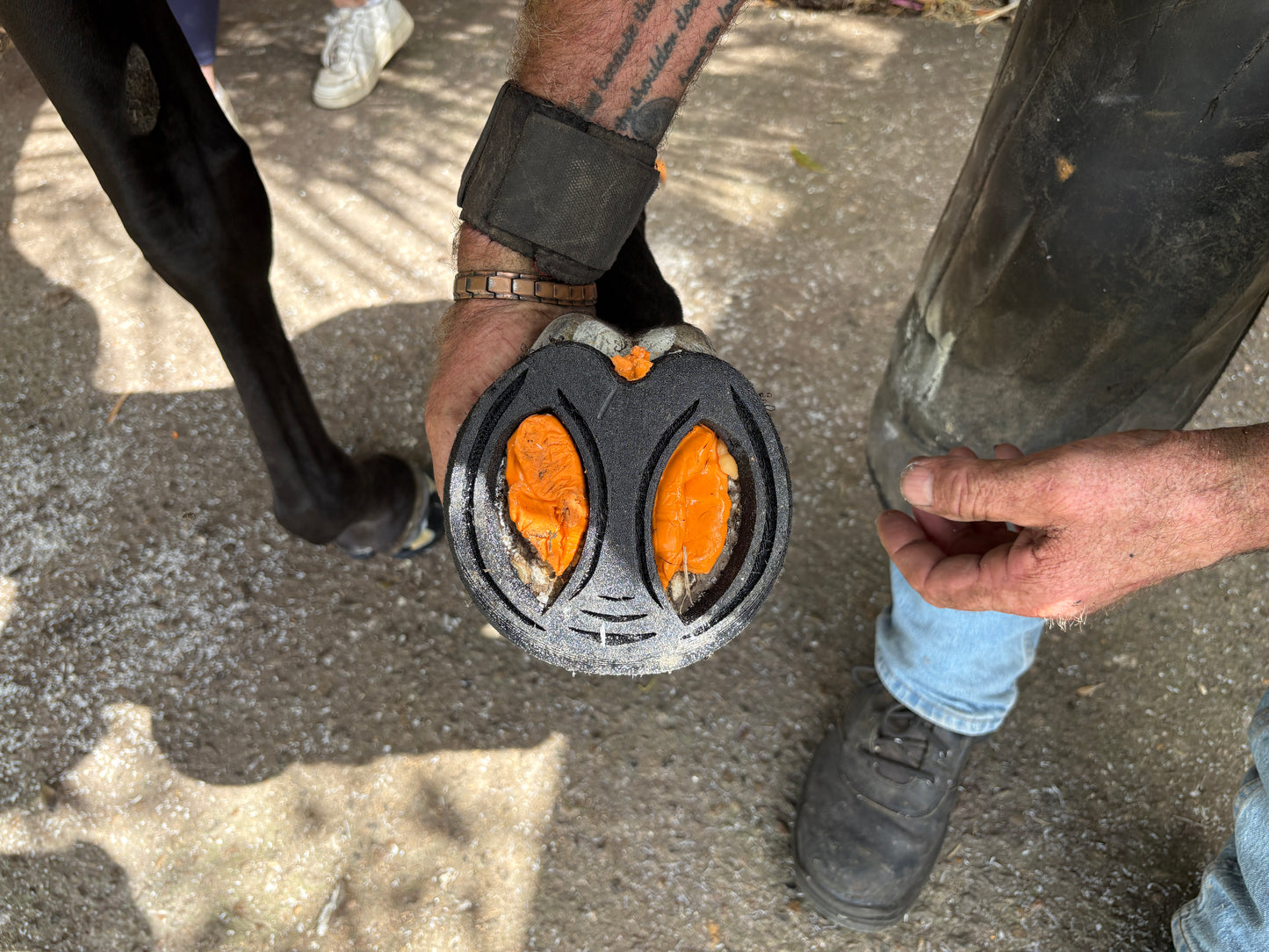 RST Elliptical Front ♻️ (pair)