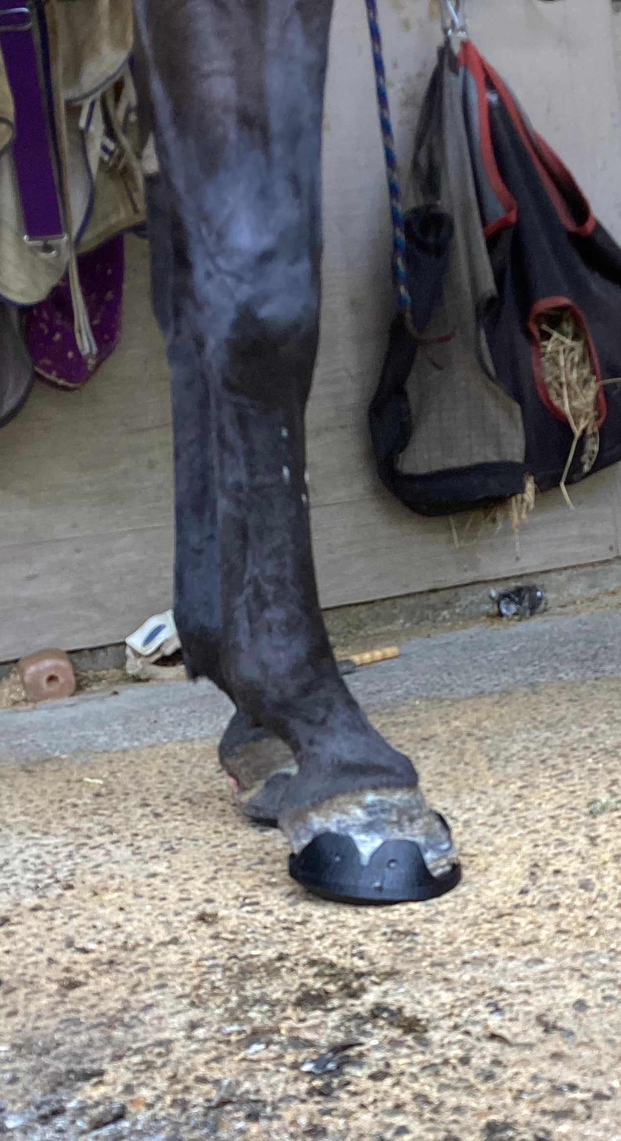 3 Deg Rocker Front♻️ (pair)