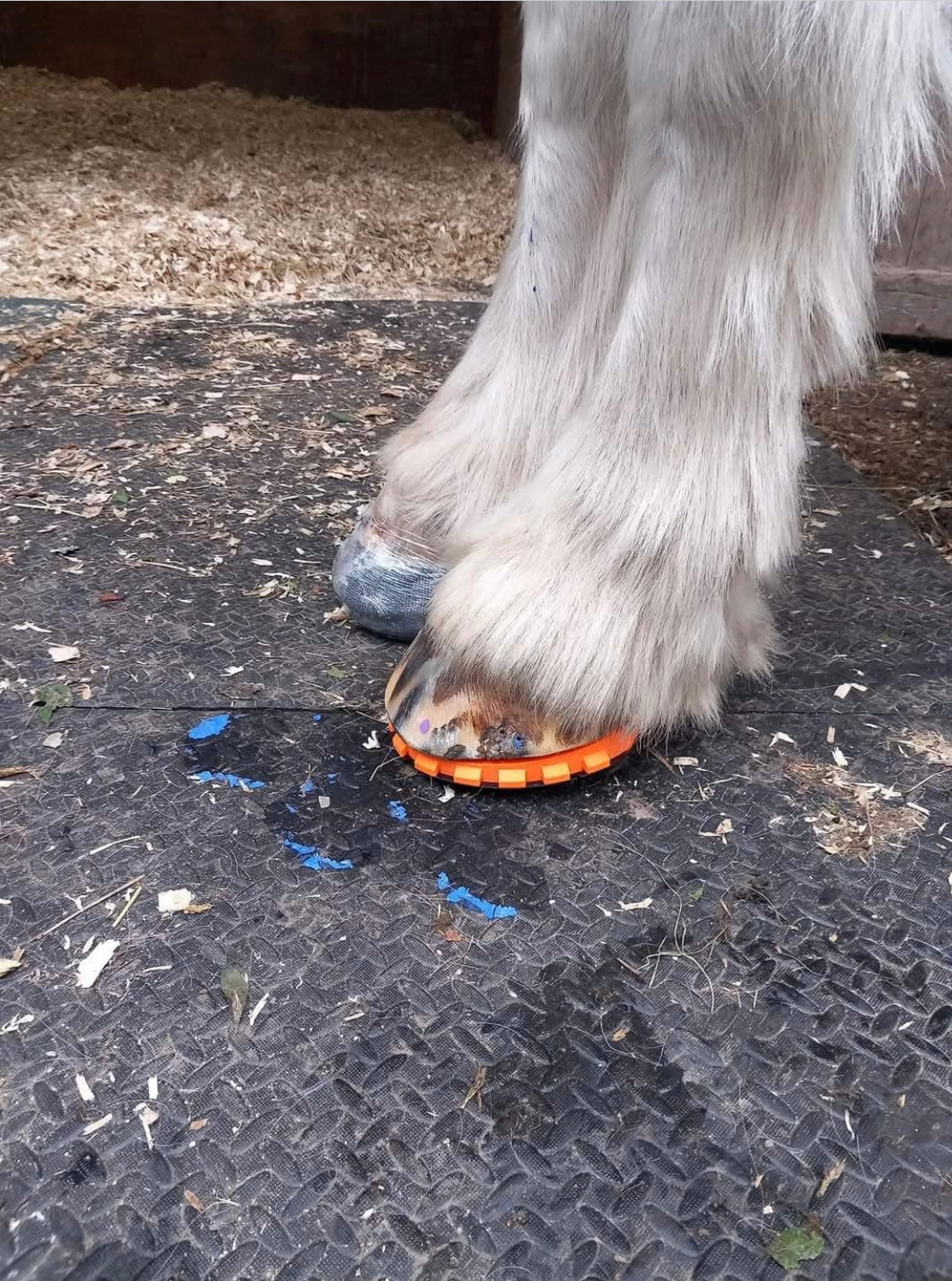 Click in Clog ( comes with 2 casting tape & 12 screws)
