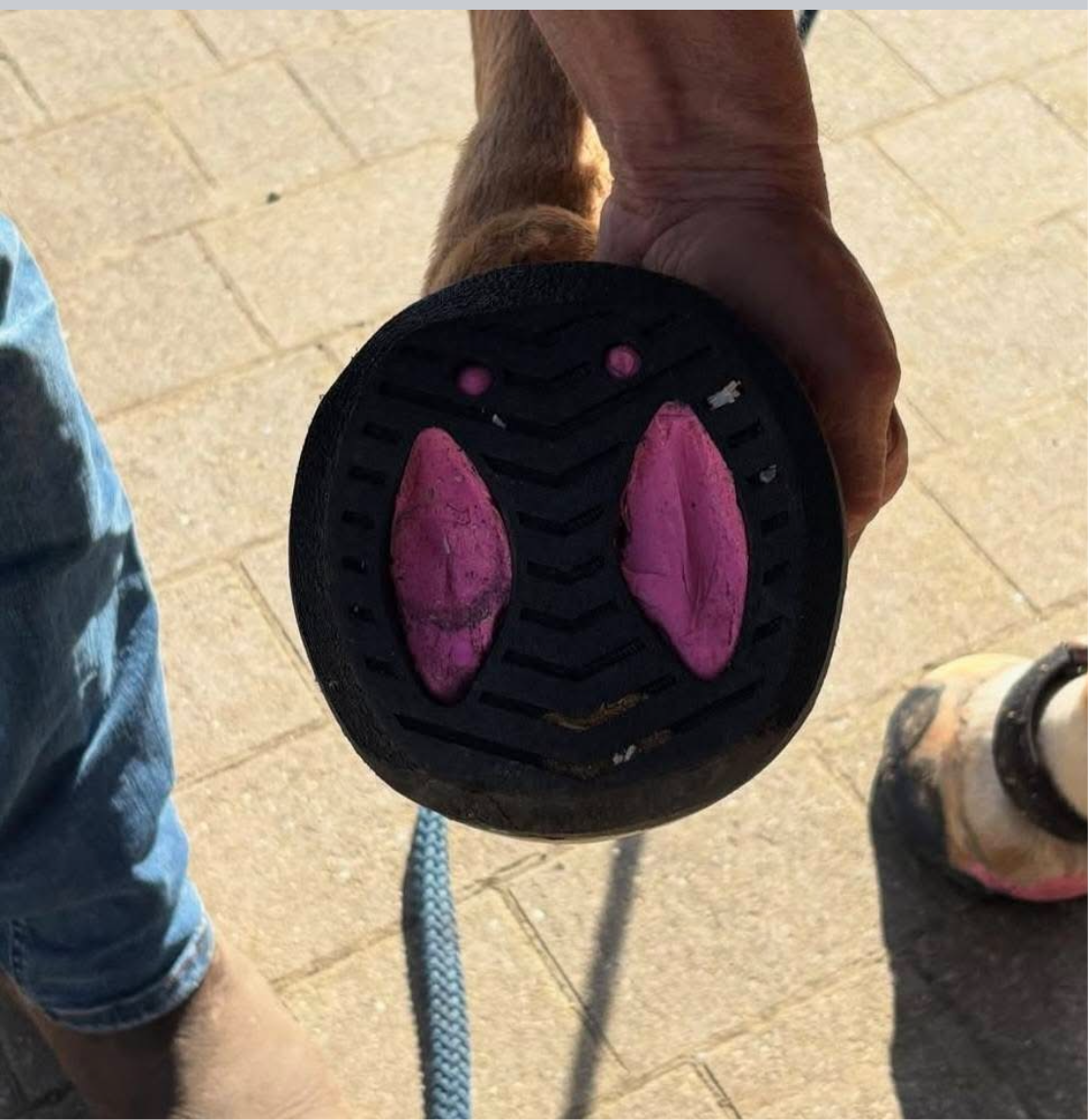 RST Elliptical Front ♻️ (pair)