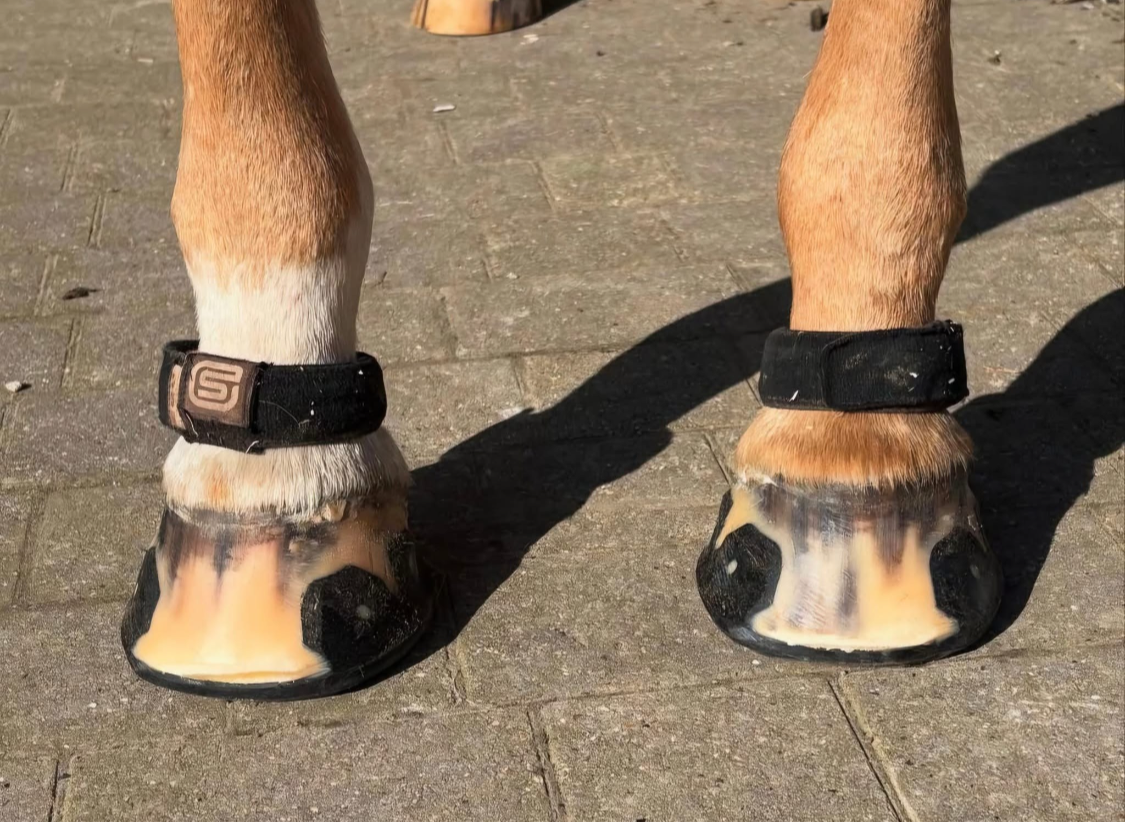 RST Elliptical Front ♻️ (pair)