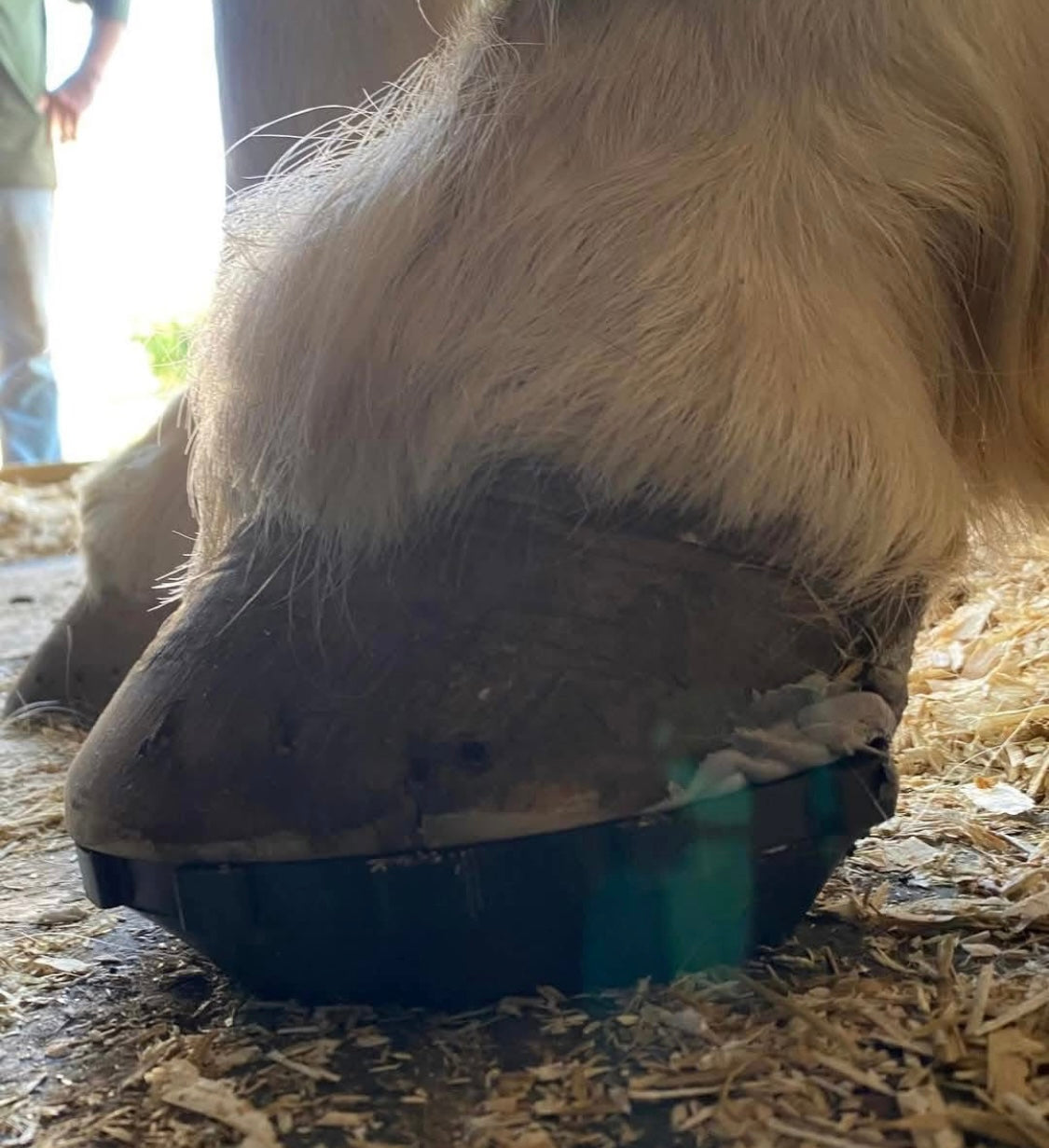 Click in Clog ( comes with 2 casting tape & 12 screws)