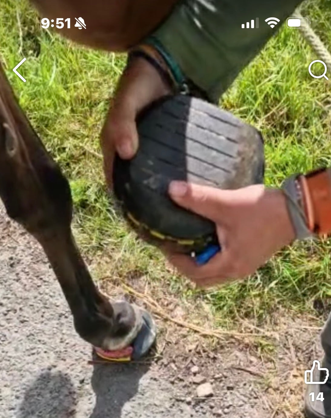 Click in Clog ( comes with 2 casting tape & 12 screws)