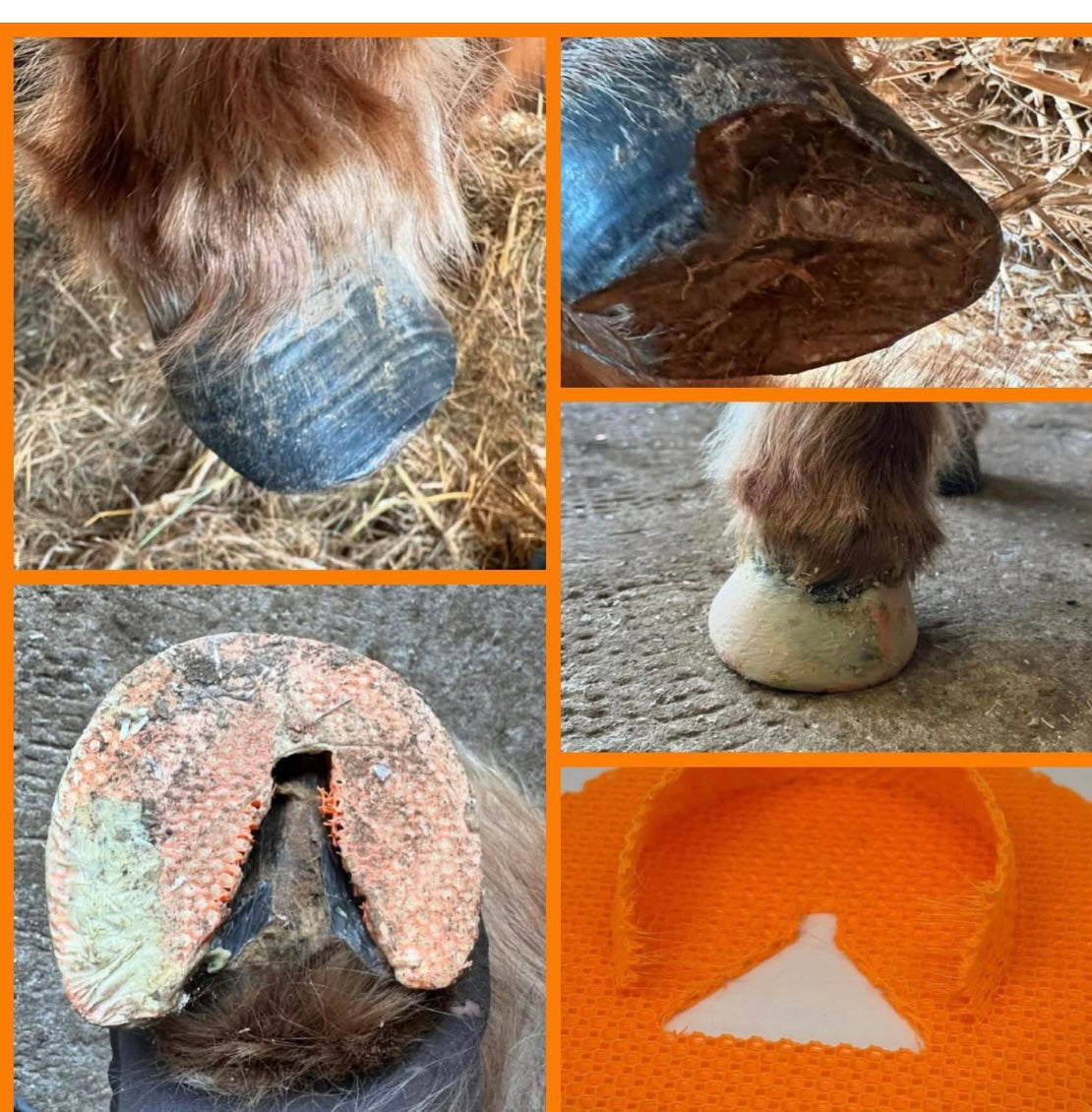 MoreAid Foal Mesh (sold individually)♻️