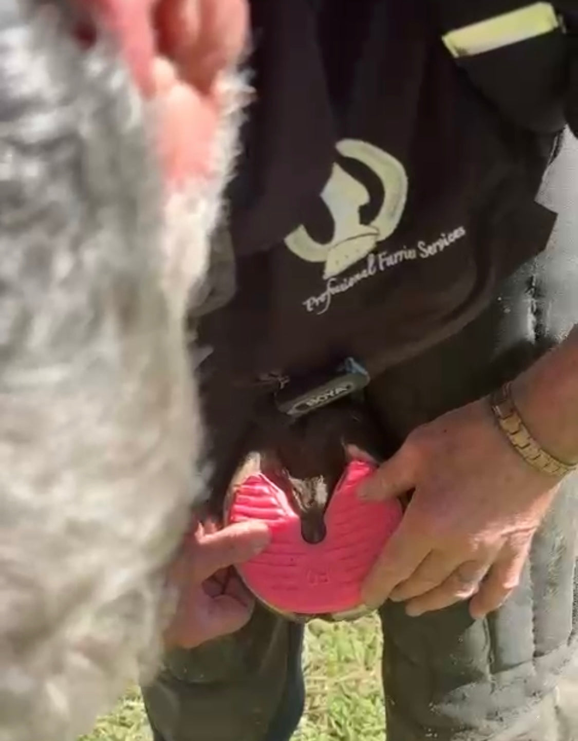 Fantastic Value Ground pad package !!