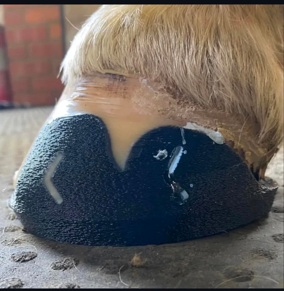 RST Elliptical Front ♻️ (pair)