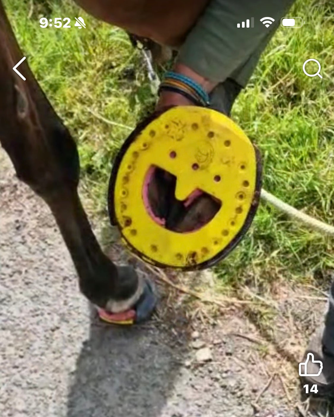 Click in Clog ( comes with 2 casting tape & 12 screws)