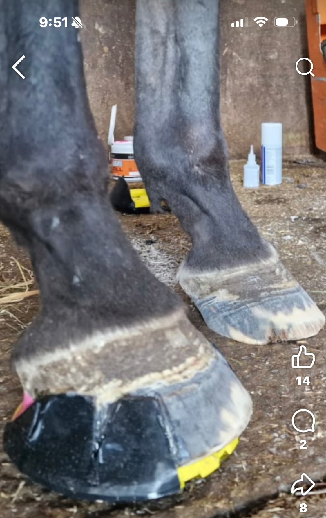 Click in Clog ( comes with 2 casting tape & 12 screws)