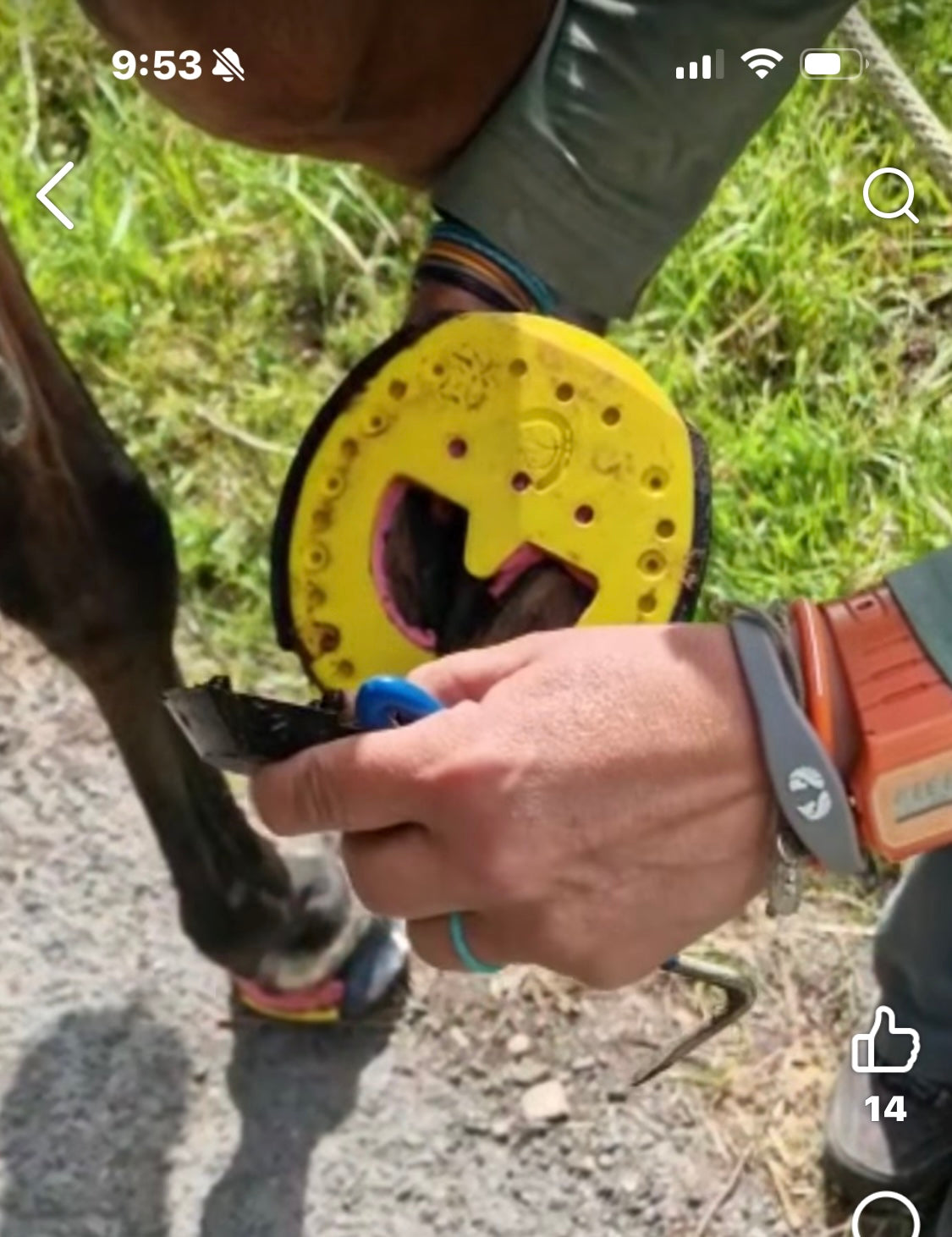 Click in Clog ( comes with 2 casting tape & 12 screws)