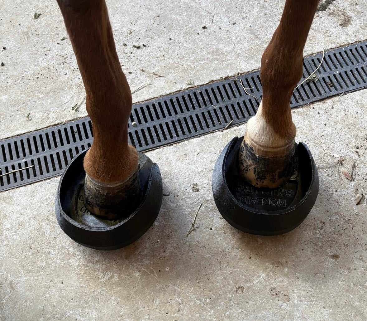 Custom Squish Pads for our larger horses . 7 , 8 & 9 inch ♻️