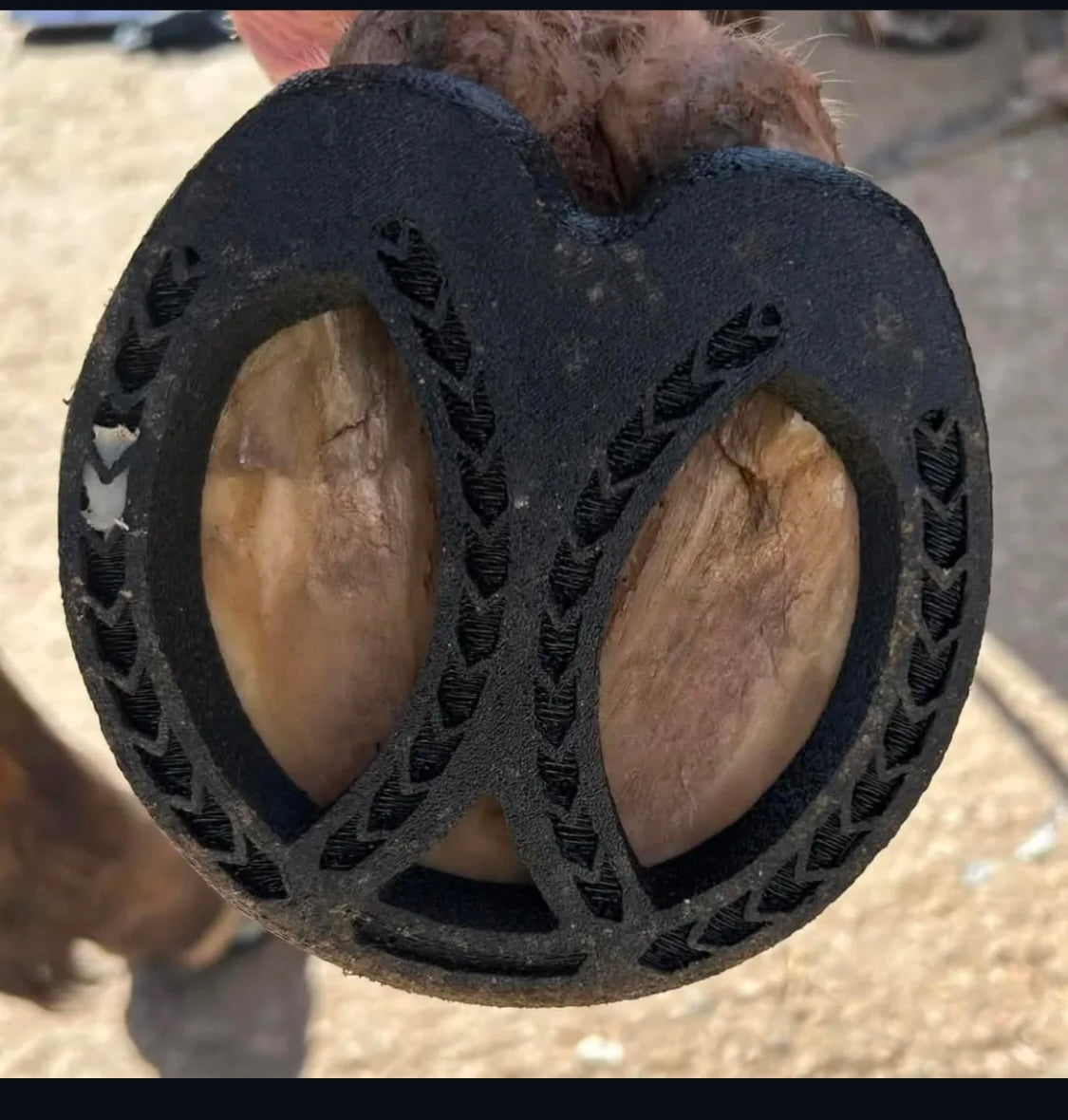 RST Elliptical Front ♻️ (pair)