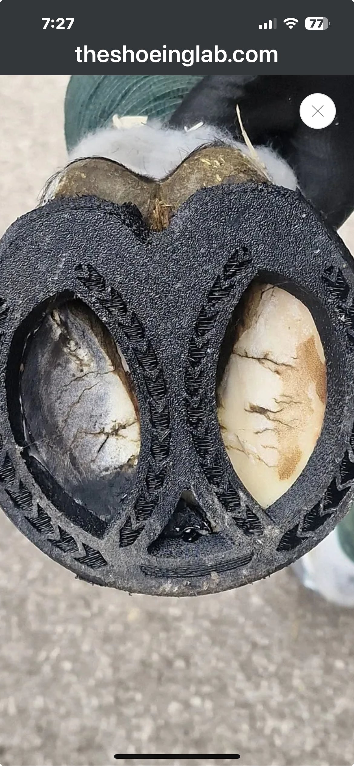 RST Elliptical Front ♻️ (pair)