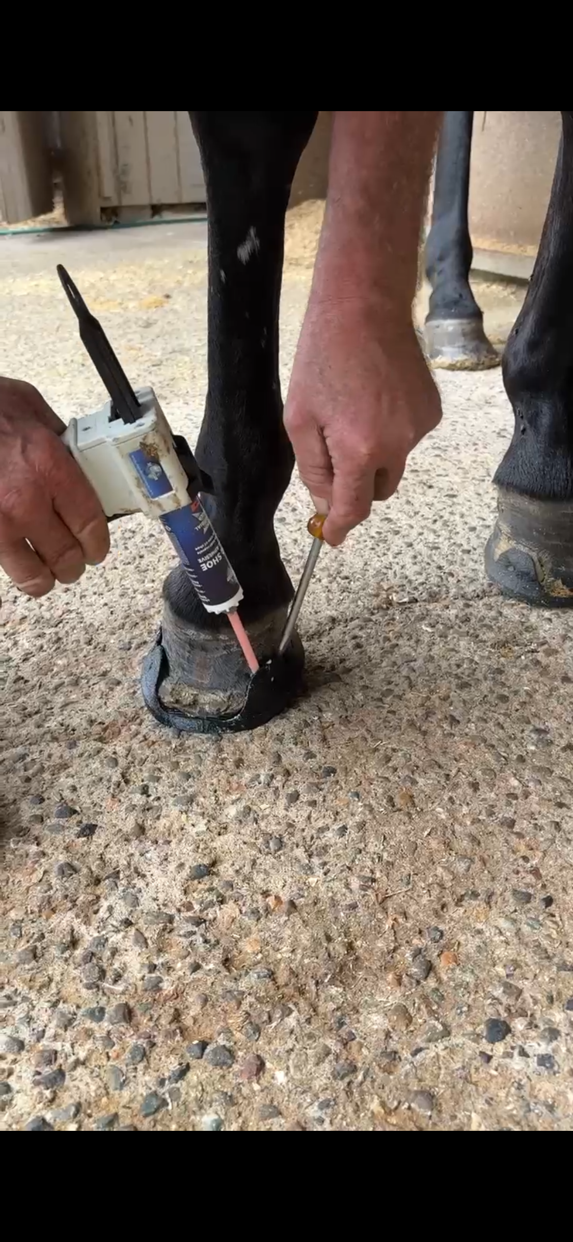 3rd Millennium Glue