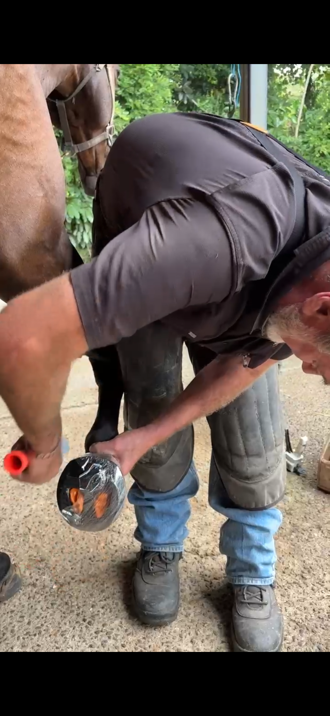 Hoof Wrap