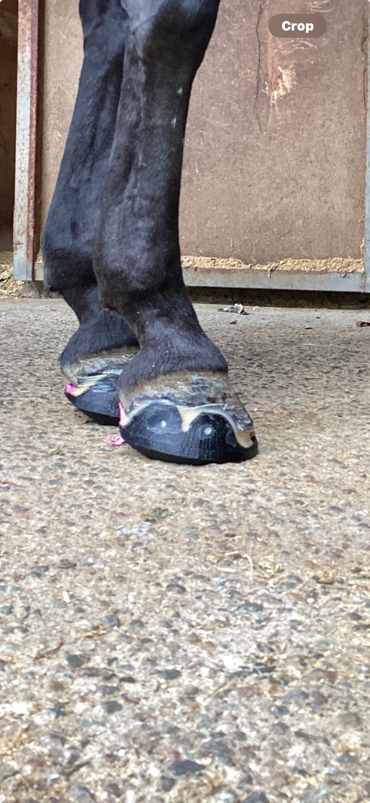 3 Deg Rocker Front♻️ (pair)