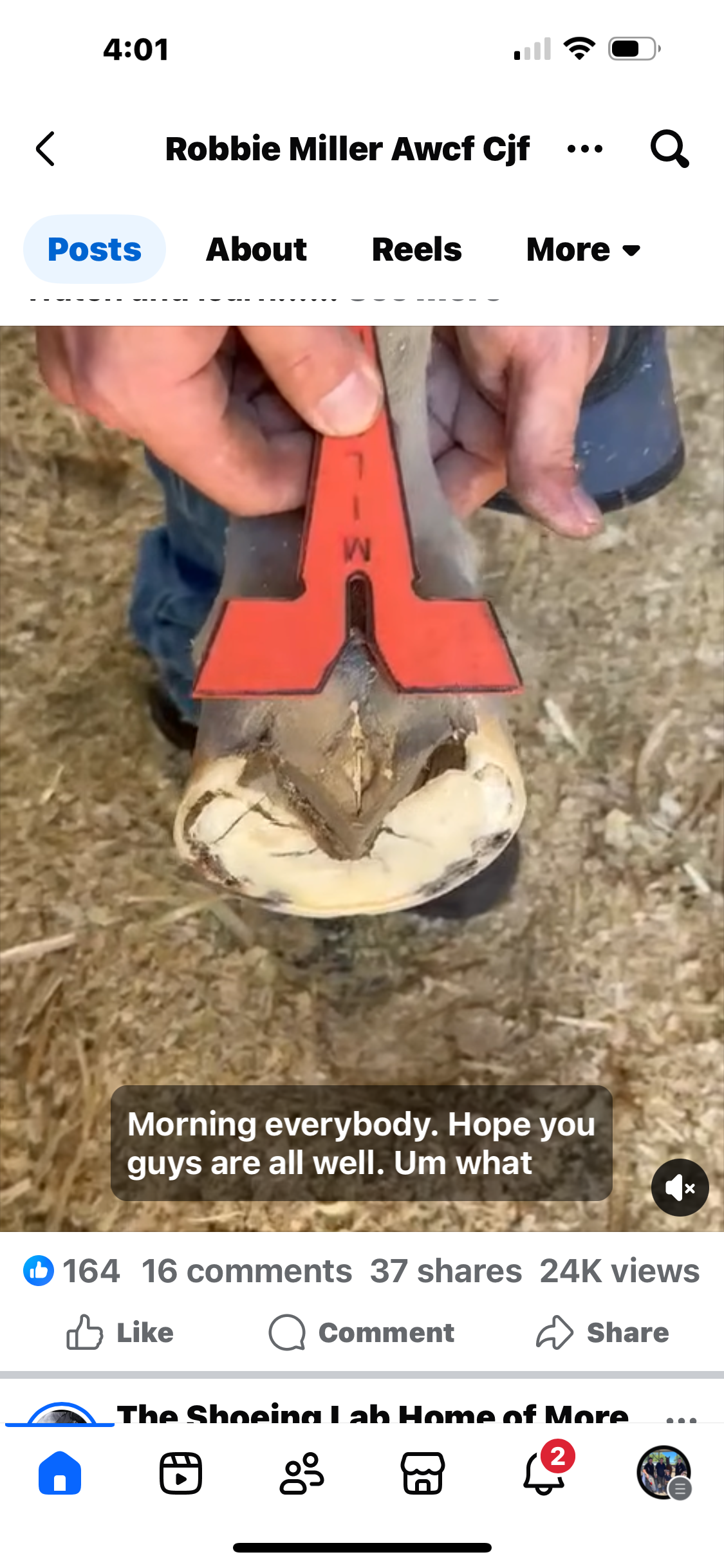 Robbie Miller MML Gauge