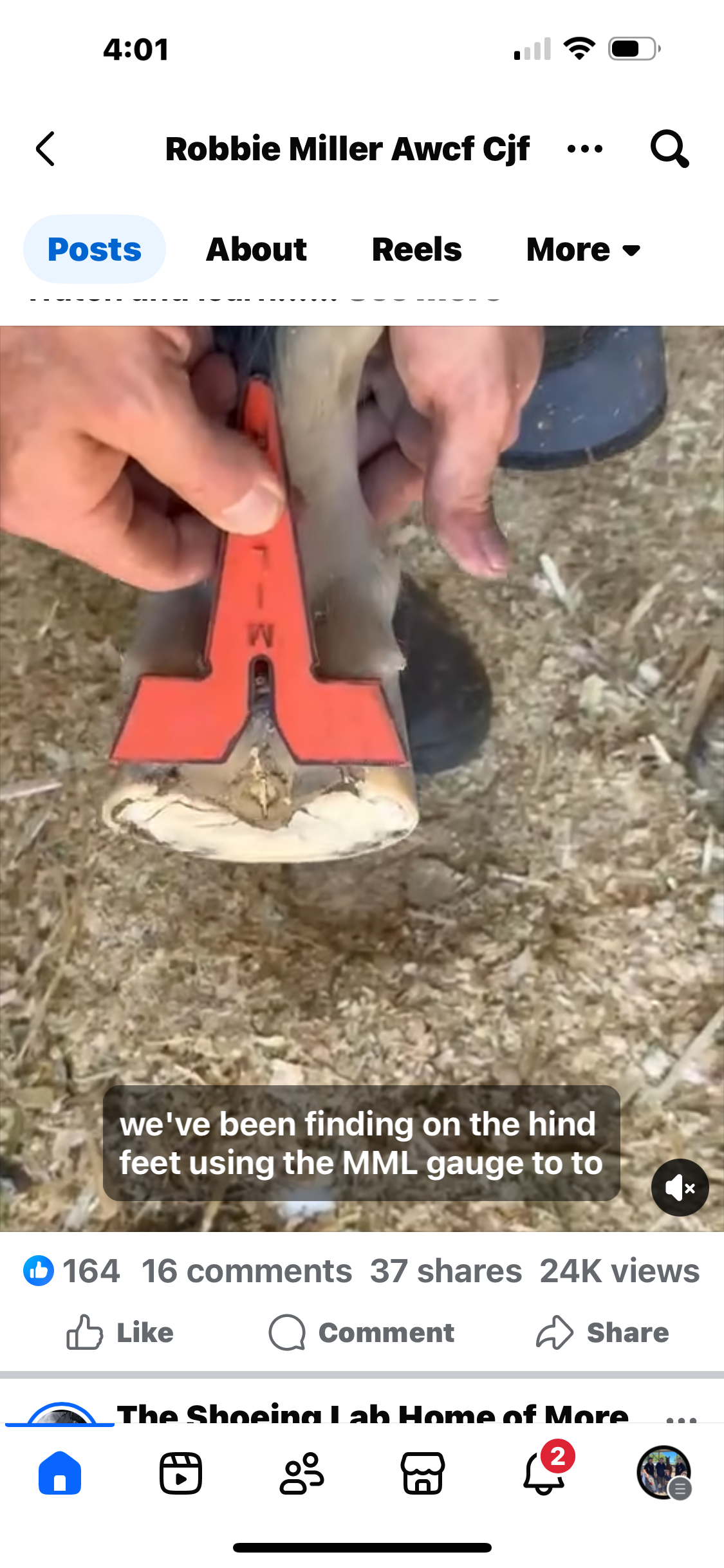 Robbie Miller MML Gauge