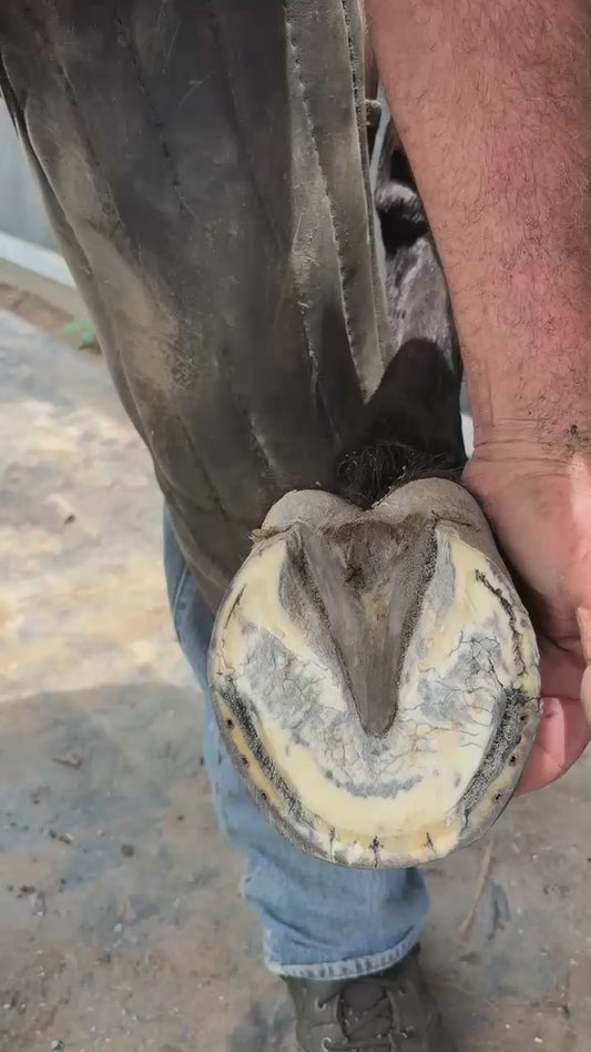 How to measure for Squish Pads & Ground Grip pads .
